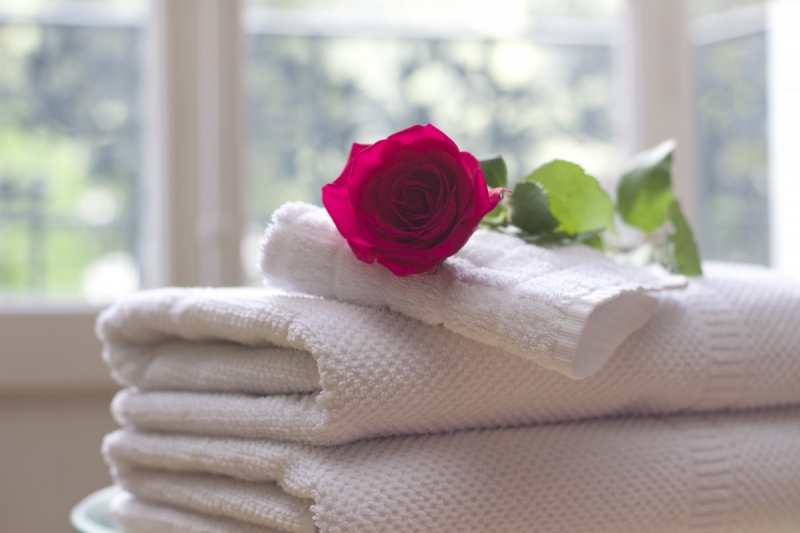 chambre-hote-CHATEAUNEUF D ENTRAUNES-min_towel_rose_clean_care_salon_spa_white_bath-731641